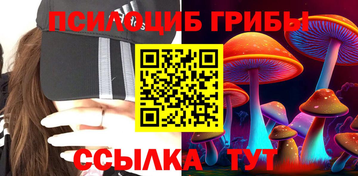 Псилоцибиновые грибы прущие грибы  Вход с VPN  Элиста 