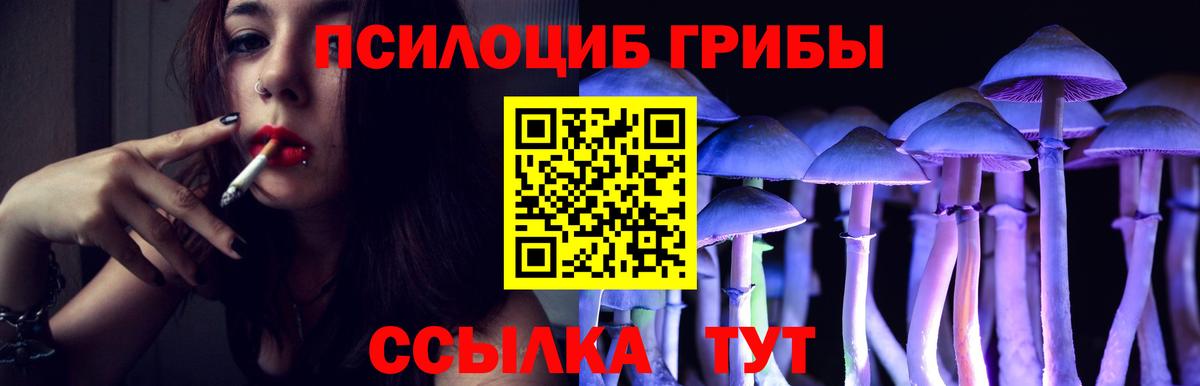 Галлюциногенные грибы Psilocybine cubensis Элиста